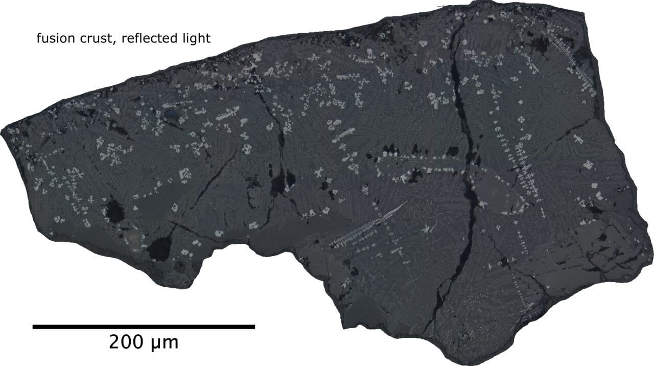 【▲ 図2: NWA 13188の断面の拡大画像。隕石の外側の黒い部分が溶融殻である。 (Image Credit: Albert Jambon) 】