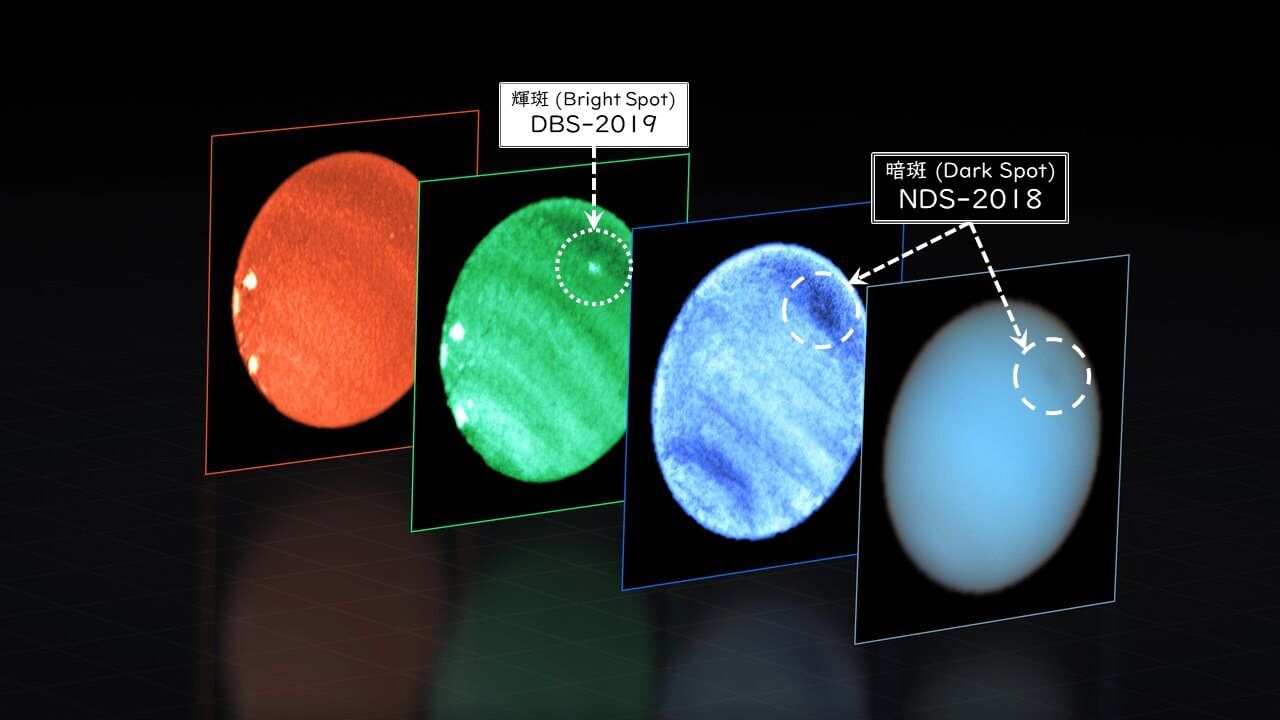 【▲ 図1: VLTのMUSEによって観測された、各波長での海王星の画像。暗斑と輝斑はほぼ同じ位置にあることがわかる。 (Image Credit: ESO, P. Irwin et al. / 文字と矢印は筆者が加筆) 】