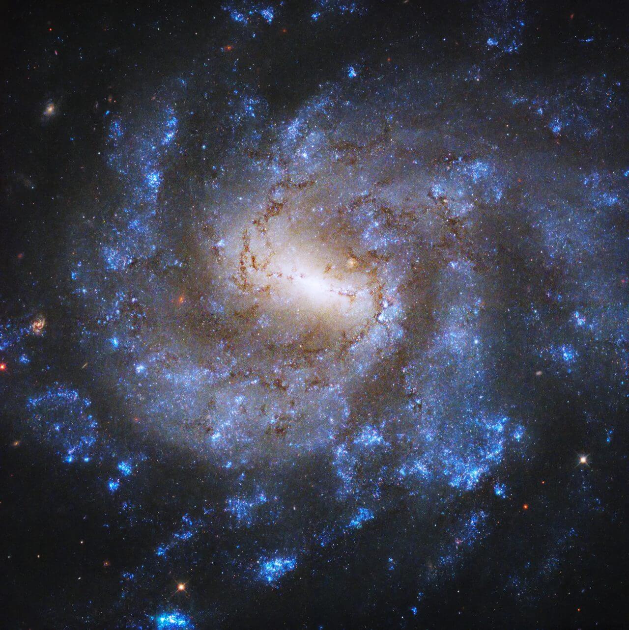 【▲ ハッブル宇宙望遠鏡で撮影された棒渦巻銀河「NGC 685」（Credit: NASA, ESA, and J. Lee (Space Telescope Science Institute); Processing: Gladys Kober (NASA/Catholic University of America)）】
