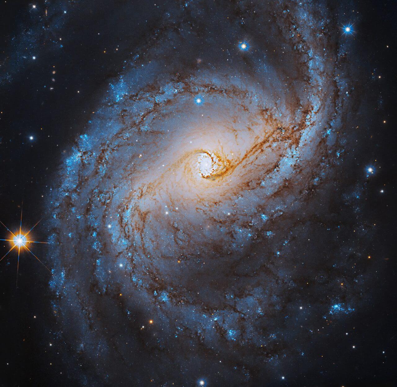 【▲ ハッブル宇宙望遠鏡で撮影された渦巻銀河「NGC 6951」（Credit: NASA's Hubble Space Telescope, ESA, A. Filippenko (University of California - Berkeley), R. Foley (University of California - Santa Cruz), C. Kilpatrick (Northwestern University), and D. Sand (University of Arizona); Processing: Gladys Kober (NASA/Catholic University of America)）】