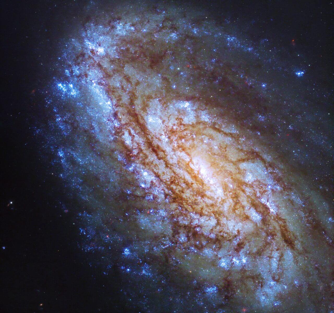 ハッブルが撮影した中間渦巻銀河「NGC 4654」【今日の宇宙画像】