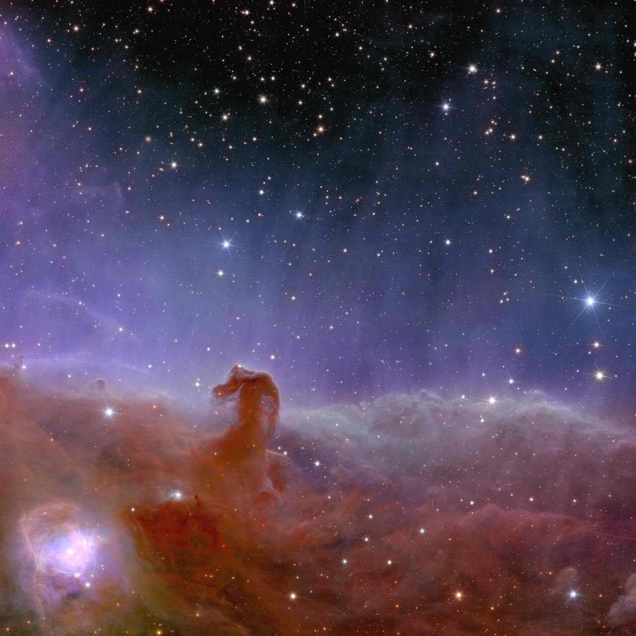 The Horsehead Nebula in the Orion constellation imaged by the European Space Agency’s Euclid Space Telescope |  sorae universe portal website