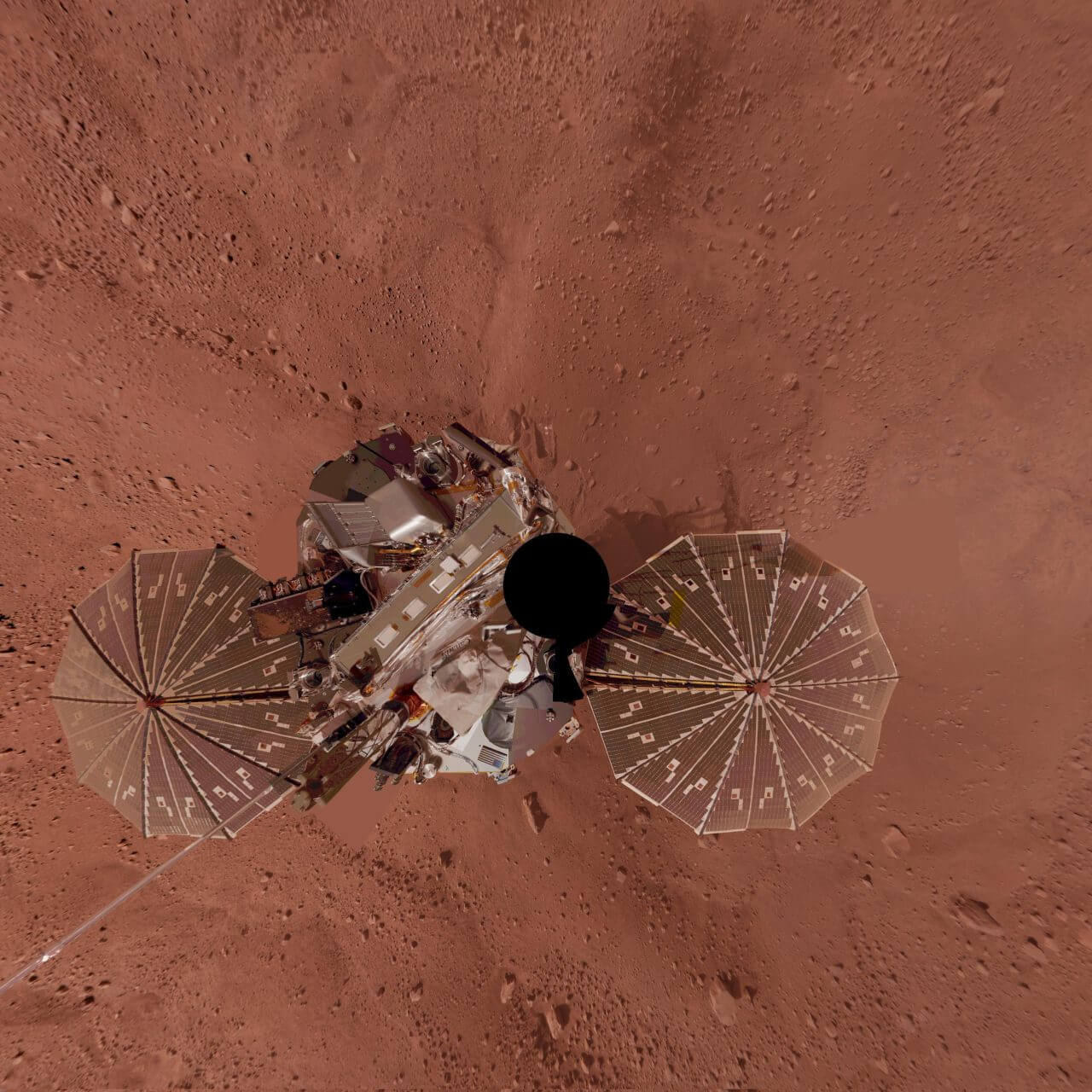 【▲ アメリカ航空宇宙局（NASA）の火星探査機「Phoenix（フェニックス）」が撮影したセルフィー。2008年12月に公開（Credit: NASA/JPL-Caltech/University of Arizona/Texas A&M University）】