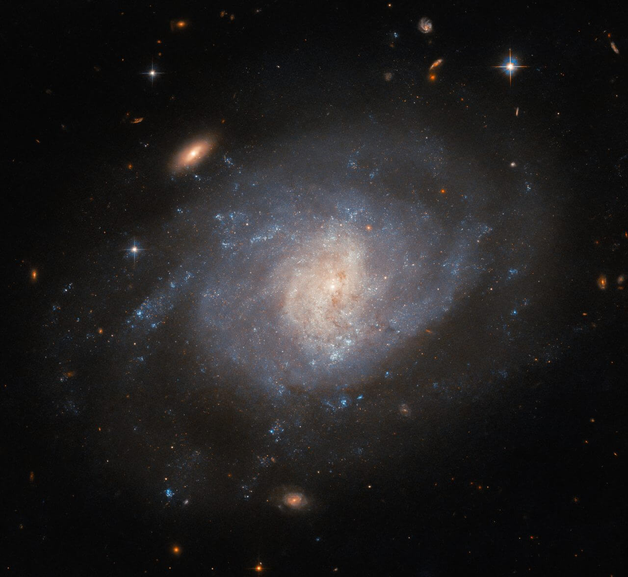 【▲ ハッブル宇宙望遠鏡で撮影された渦巻銀河「NGC 941」（Credit: ESA/Hubble & NASA, C. Kilpatrick）】