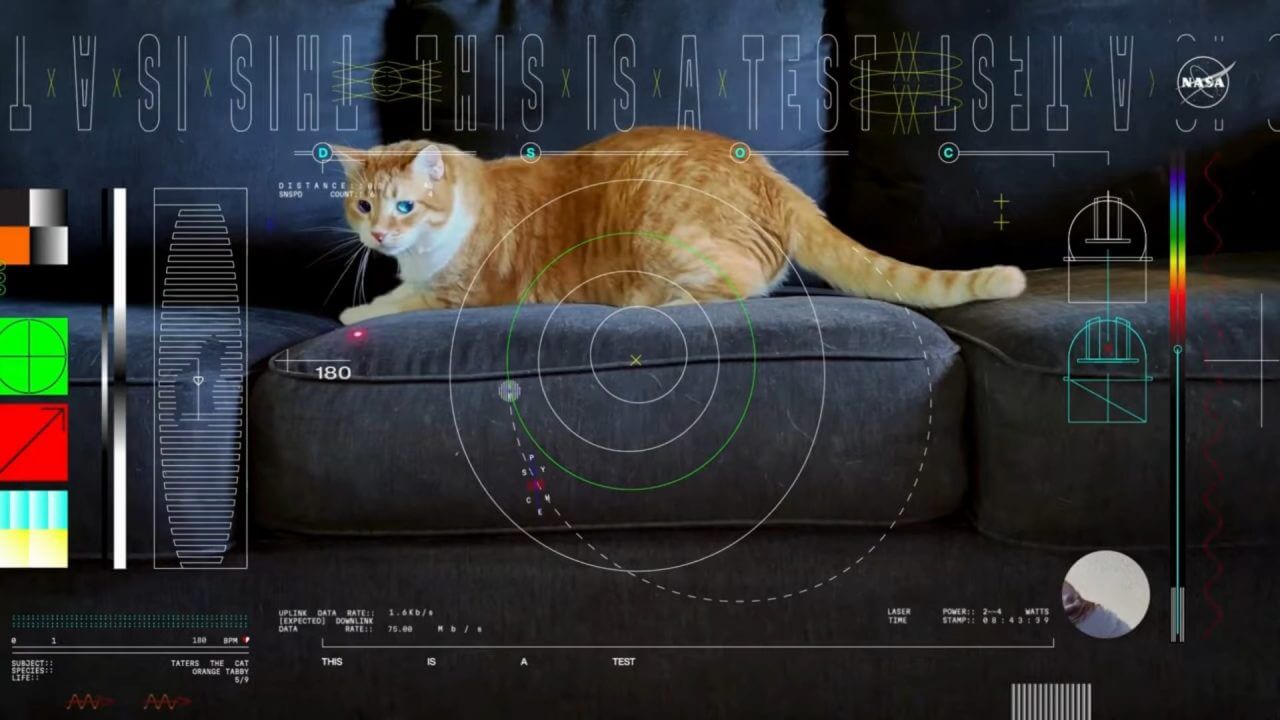 【▲図1: 今回ストリーミングに成功した15秒の動画のキャプチャ画像。レーザーポインターの光に反応しているネコのテイターズの様子の他、様々な情報がオーバーレイされています。 (Image Credit: NASA & JPL-Caltech) 】
