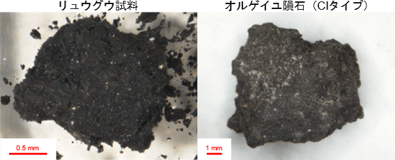 【▲図1: リュウグウ (左) とオルゲイユ隕石 (右) のそれぞれのサンプルの写真。オルゲイユ隕石がより明るい色をしていることが分かります。 (Image Credit: JAXA (リュウグウ) / 天野香菜, et al. (オルゲイユ隕石) ) 】