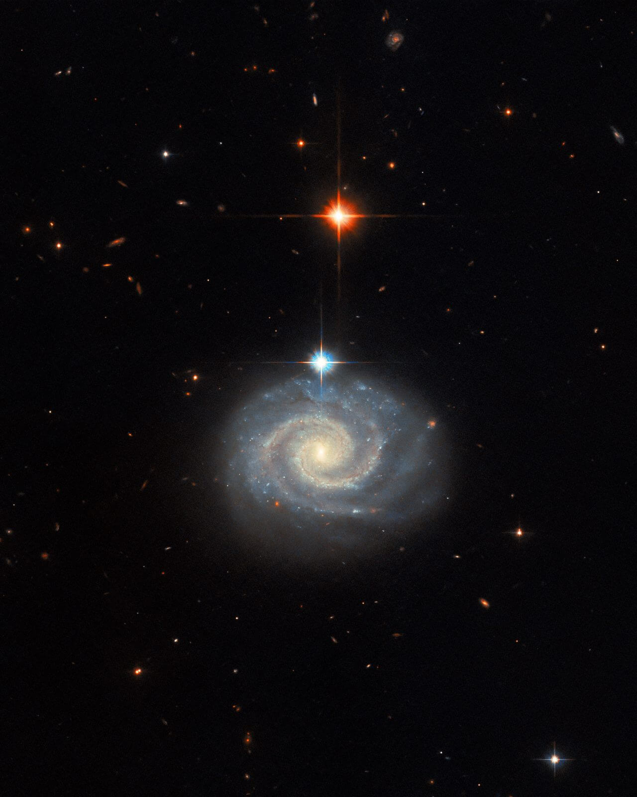 【▲ ハッブル宇宙望遠鏡で撮影された渦巻銀河「MCG-01-24-014」（Credit: ESA/Hubble & NASA, C. Kilpatrick）】