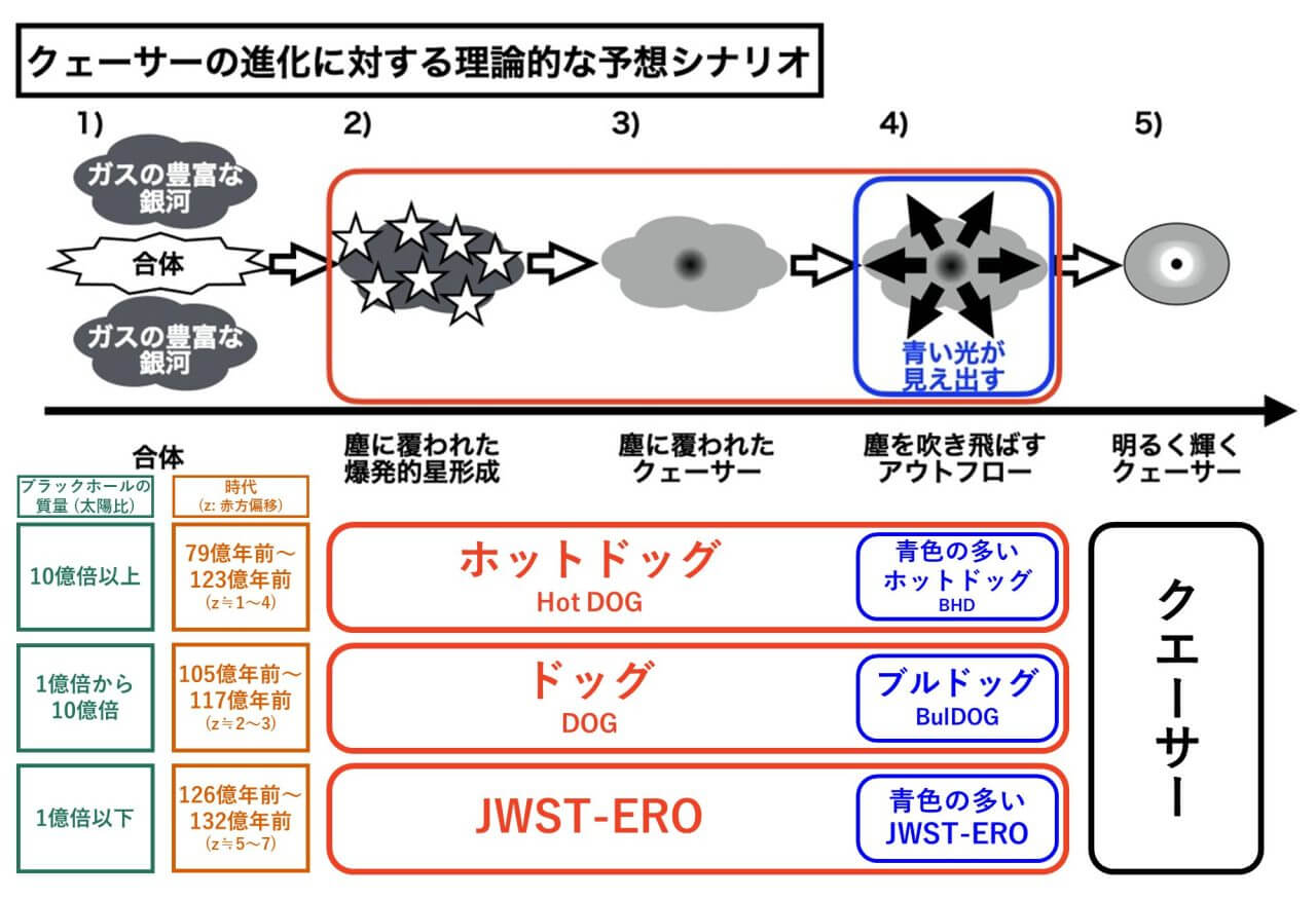 【▲図4: 今回の研究に基づいた、ドッグの関連天体とJWST-EROの関係性。主な違いは中心部にある超大質量ブラックホールの質量ではないかと考えられています。 (Image Credit: Akatoki Noboriguchi, et al. / 著者 (彩恵りり) によりA. Noboriguchi, et al. (2023) Figure 5に基づき一部改変) 】