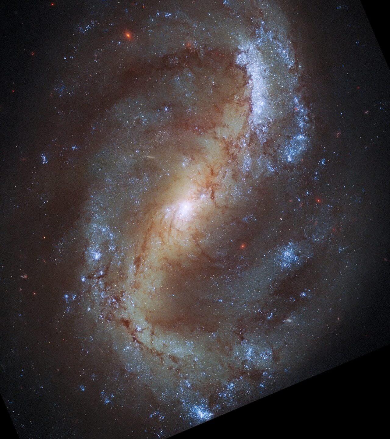 【▲ ハッブル宇宙望遠鏡の広視野カメラ3（WFC3）で観測された渦巻銀河「NGC 7496」（Credit: NASA, ESA, CSA, STScI, Janice Lee (STScI), Thomas Williams (Oxford), PHANGS Team）】