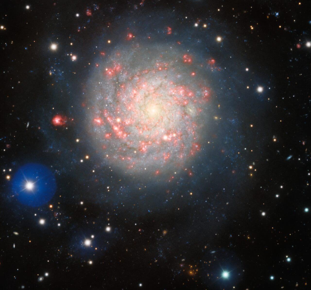 【▲ 渦巻銀河「NGC 1058」。ジェミニ天文台の「ジェミニ北望遠鏡」で撮影（Credit: International Gemini Observatory/NOIRLab/NSF/AURA; Image processing: T.A. Rector (University of Alaska Anchorage/NSF’s NOIRLab), J. Miller (Gemini Observatory/NSF’s NOIRLab), M. Rodriguez (Gemini Observatory/NSF’s NOIRLab) & M. Zamani (NSF’s NOIRLab)）】
