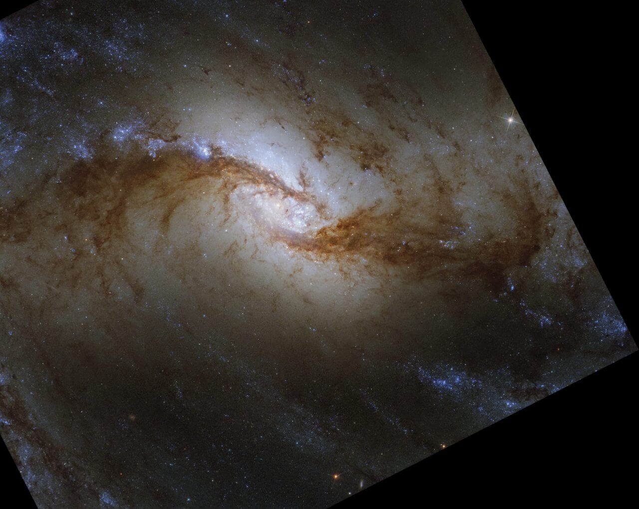 [▲ NGC 1365، مجرة ​​حلزونية قضيبية تم رصدها بواسطة الكاميرا واسعة النطاق 3 (WFC3) التابعة لتلسكوب هابل الفضائي (Credit: NASA, ESA, CSA, STScI, Janice Lee (STScI), Thomas Williams (Oxford), PHANGS Team) ]