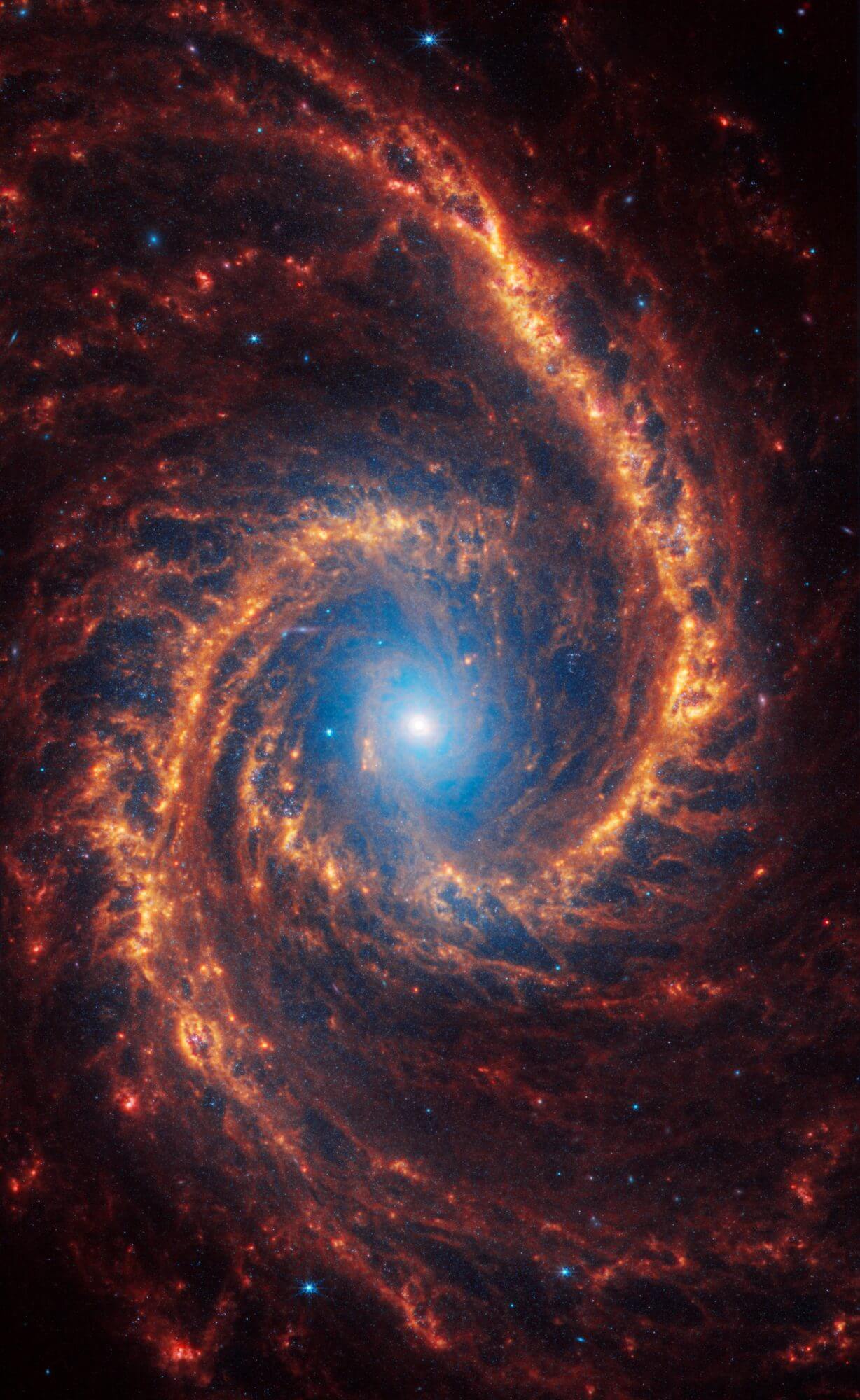【▲ ジェイムズ・ウェッブ宇宙望遠鏡の近赤外線カメラ（NIRCam）と中間赤外線観測装置（MIRI）で観測された渦巻銀河「NGC 1566」（Credit: NASA, ESA, CSA, STScI, Janice Lee (STScI), Thomas Williams (Oxford), Rupali Chandar (UToledo), Daniela Calzetti (UMass), PHANGS Team）】