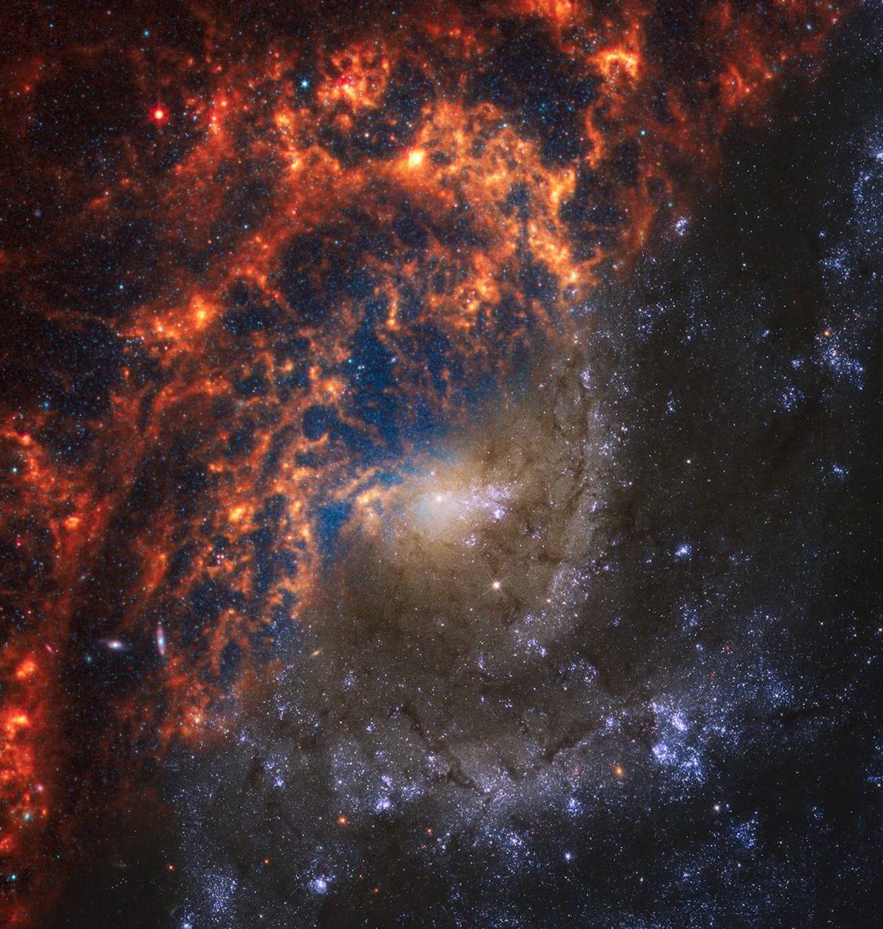 The galaxy “NGC 2835” in the Hydra constellation was observed by Webb and Hubble using two space telescopes. The Universe Gateway website
