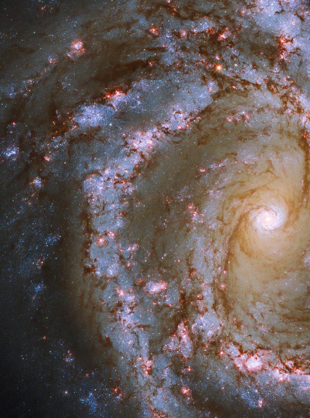 【▲ ハッブル宇宙望遠鏡の広視野カメラ3（WFC3）で観測された渦巻銀河「NGC 4303」（Credit: NASA, ESA, CSA, ESO, STScI, Janice Lee (STScI), Thomas Williams (Oxford), PHANGS Team）】