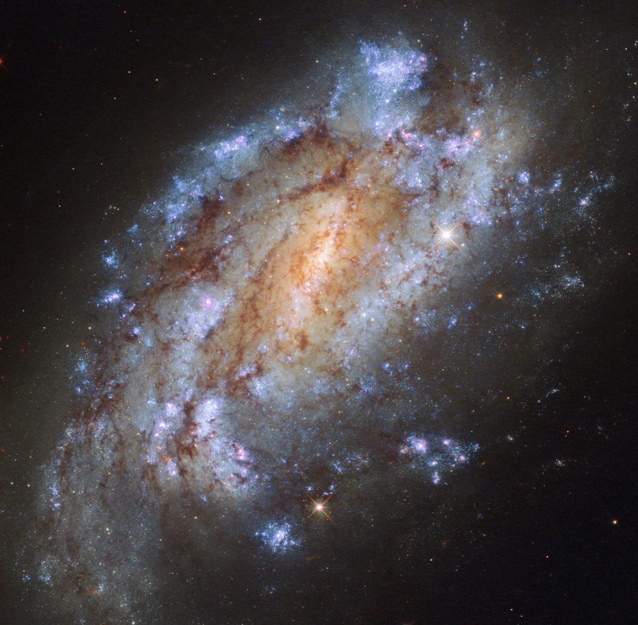 【▲ 参考画像：ハッブル宇宙望遠鏡の広視野カメラ3（WFC3）で観測された棒渦巻銀河「NGC 1559」（Credit: ESA/Hubble & NASA）】