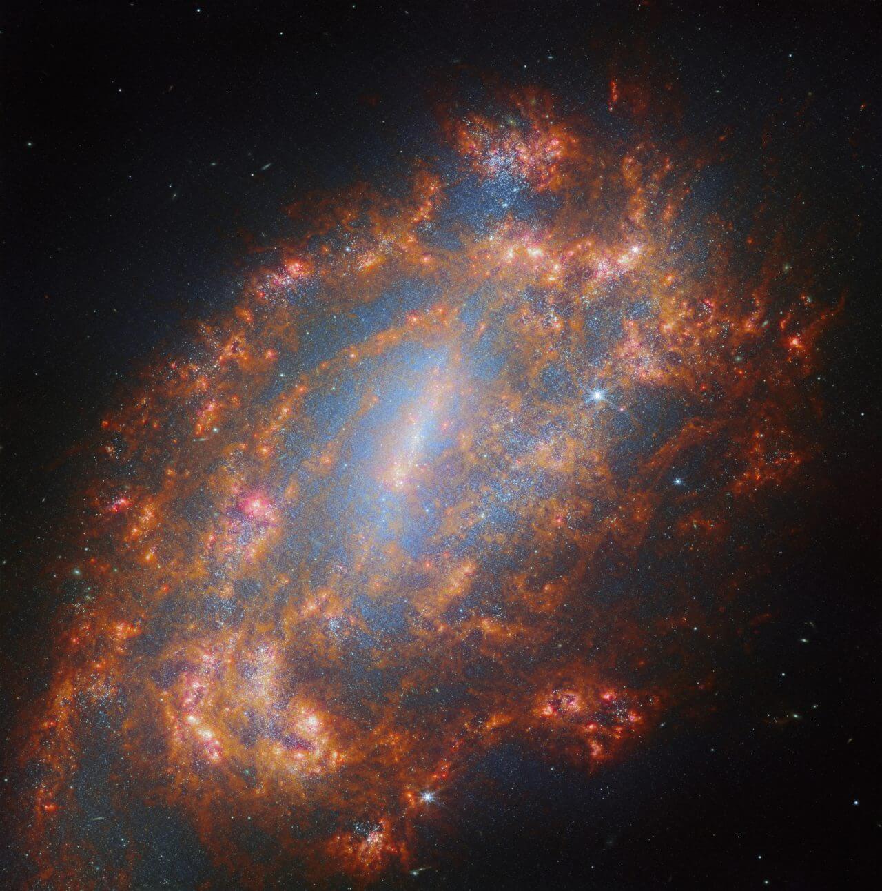【▲ ジェイムズ・ウェッブ宇宙望遠鏡の近赤外線カメラ（NIRCam）と中間赤外線観測装置（MIRI）で観測された棒渦巻銀河「NGC 1559」（Credit: ESA/Webb, NASA & CSA, A. Leroy, J. Lee and the PHANGS Team）】