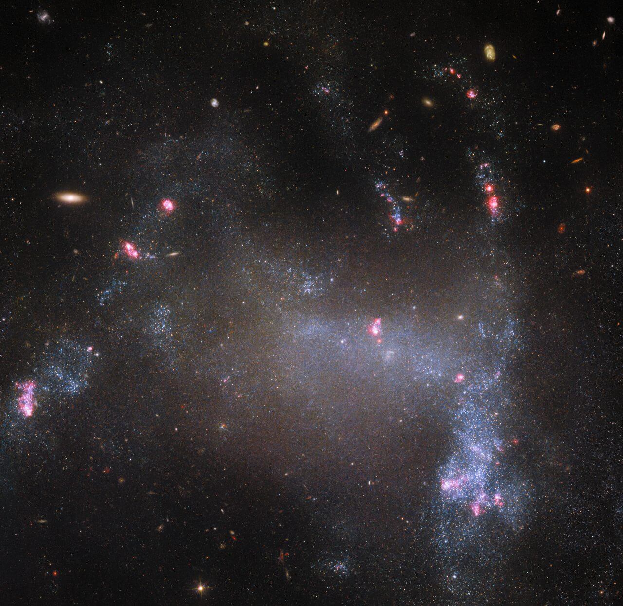【▲ ハッブル宇宙望遠鏡の「掃天観測用高性能カメラ（ACS）」と「広視野カメラ3（WFC3）」で撮影された銀河「UGC 5829」（Credit: ESA/Hubble & NASA, R. Tully, M. Messa）】