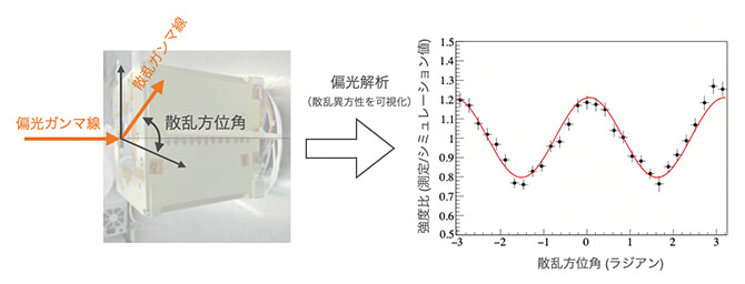 【▲ コンプトンカメラに入射・散乱する偏光ガンマ線の模式図（左図）と、散乱角の分布を示すグラフ（右図）。曲線の振幅が大きいため、感度が高いのだという（Credit: 理化学研究所）】