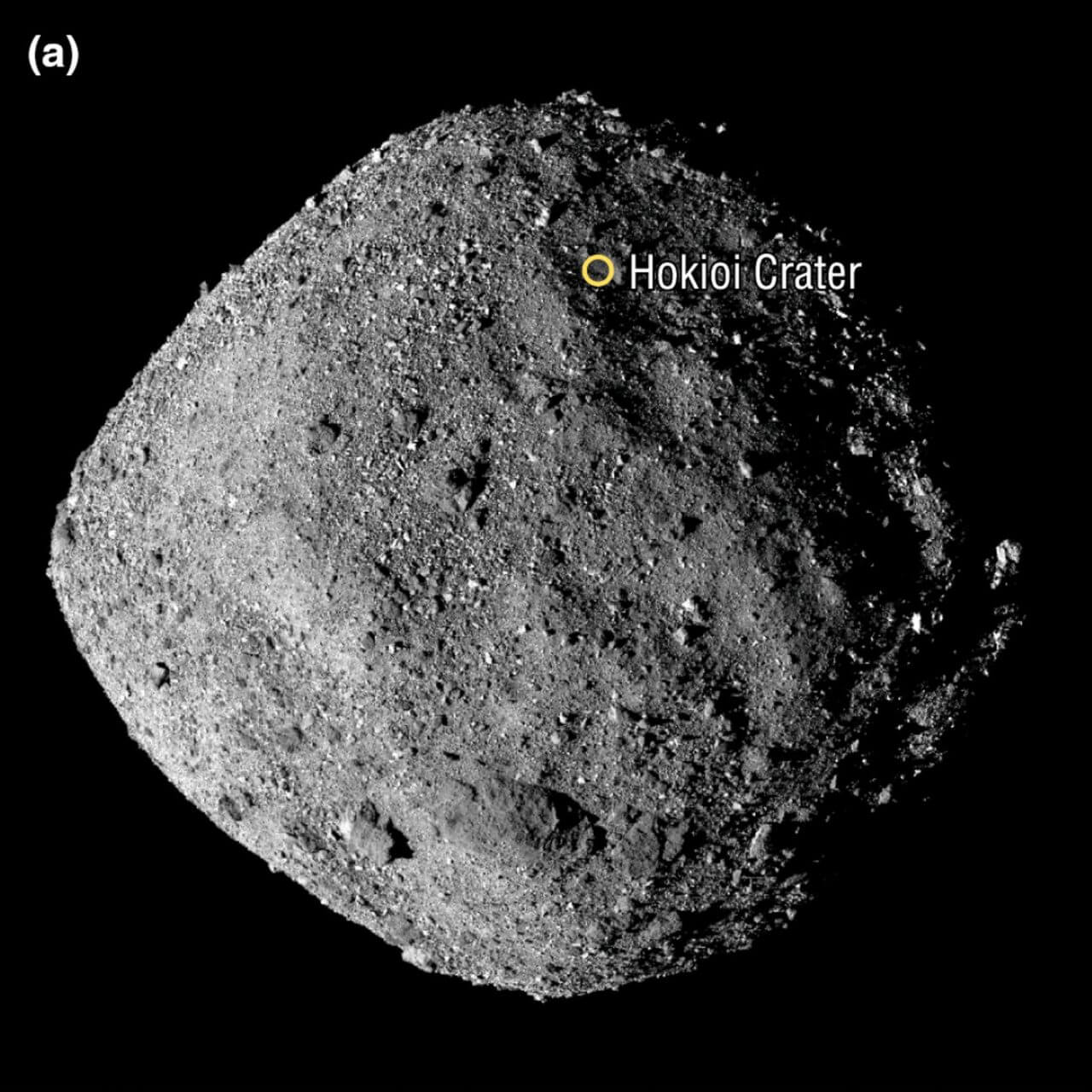 【▲ 図1: OSIRIS-RExによって撮影された小惑星ベンヌの外観。今回分析されたサンプルは、中緯度地域にあるホキオイ・クレーター内のナイチンゲール地点から採集されました。（Credit: NASA, Goddard & University of Arizona）】