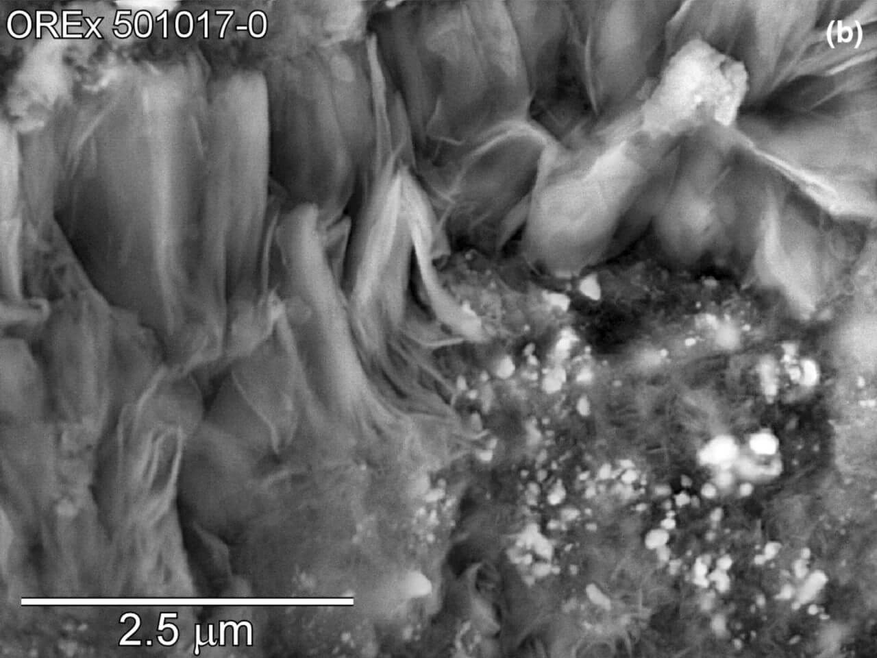 【▲ 図3: サンプルの電子顕微鏡の一例。糸のような部分が、岩石の大部分を構成する蛇紋石です。（Credit: Dante S. Lauretta, Harold C. Connolly Jr, et al.）】