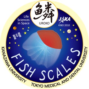 【▲ Mission Mark（Credit: JAXA）】