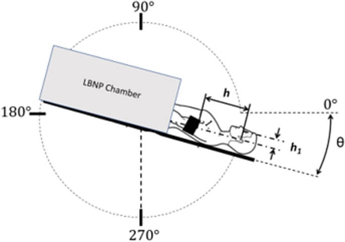 【▲ 傾斜台上に設置されたLBNP負荷装置の概略図（Credit：Ana Diaz Artiles et al.）】