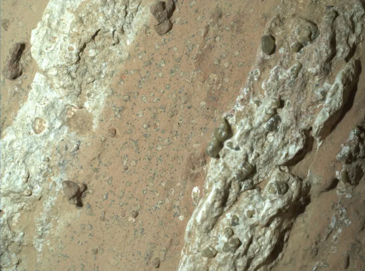 【▲ 図1: 今回分析された岩石「チェヤヴァ・フォールズ」にあるヒョウ柄の斑点は、数十億年前にいた火星の生命の痕跡である可能性があります。（Credit: NASA, JPL-Caltech & MSSS）】