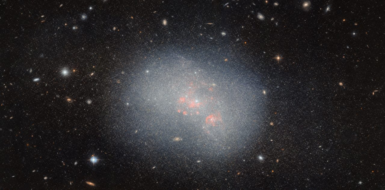 【▲ ハッブル宇宙望遠鏡（HST）の掃天観測用高性能カメラ（ACS）で撮影された矮小不規則銀河「NGC 5238」（Credit: ESA/Hubble & NASA, F. Annibali）】