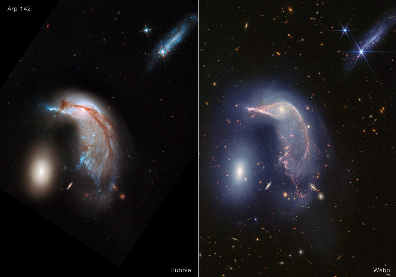 【▲ ハッブル宇宙望遠鏡の広視野カメラ3（WFC3、左）とジェイムズ・ウェッブ宇宙望遠鏡の近赤外線カメラ（NIRCam、右）で観測された相互作用銀河「Arp 142」を比較した図（Credit: NASA, ESA, CSA, STScI）】