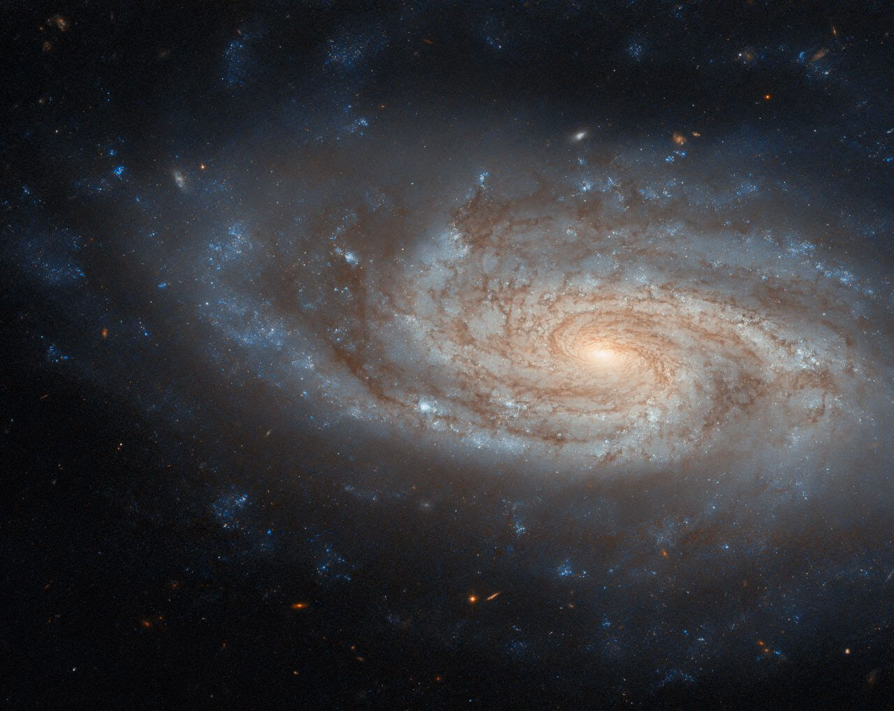 【▲ ハッブル宇宙望遠鏡（HST）の掃天観測用高性能カメラ（ACS）で撮影された渦巻銀河「NGC 3430」（Credit: ESA/Hubble & NASA, C. Kilpatrick）】