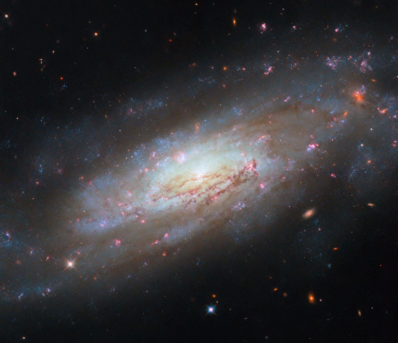 【▲ ハッブル宇宙望遠鏡（HST）の広視野カメラ3（WFC3）で撮影された棒渦巻銀河「NGC 4951」（Credit: ESA/Hubble & NASA, D. Thilker, M. Zamani (ESA/Hubble)）】