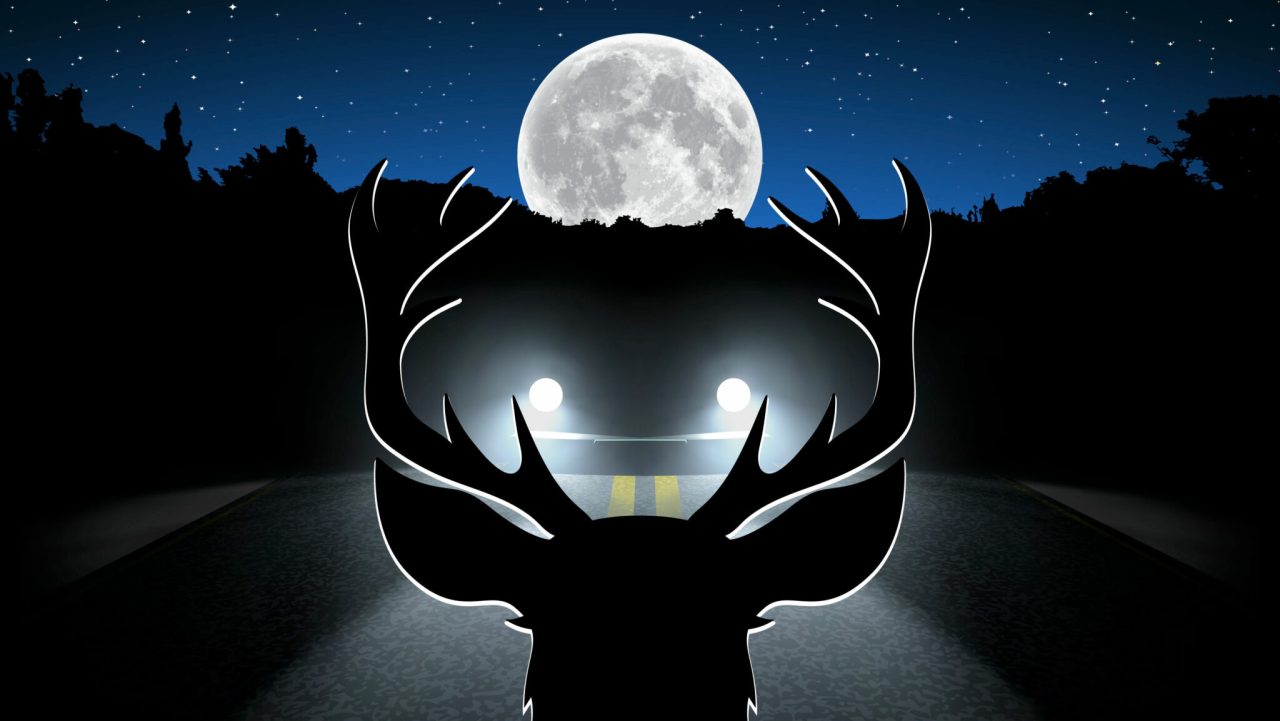 Research indicates that collisions between wild animals and cars increase on full moon nights