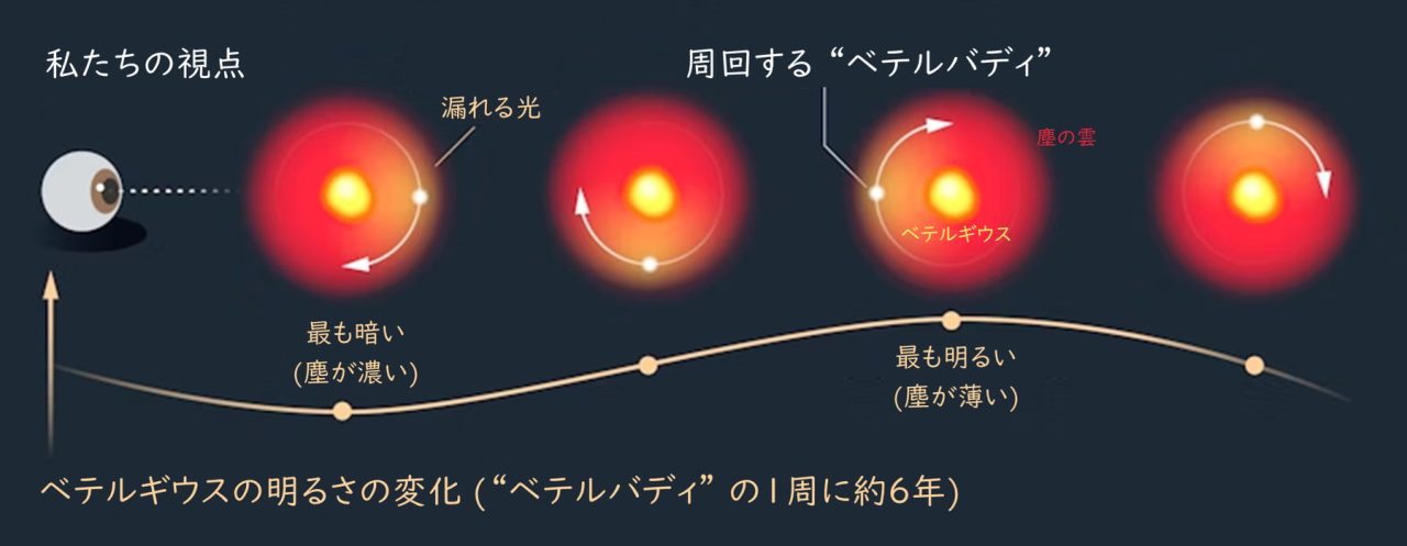 図3: 今回の研究では、 “ベテルバディ” の周回によって塵の薄い部分ができていることが、ベテルギウスの長期的な変光の理由だとしています。