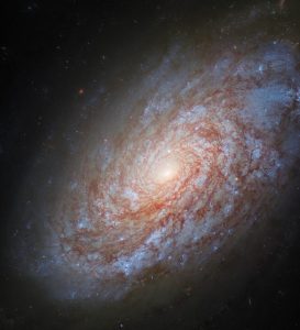 ハッブル宇宙望遠鏡が撮影　2021年と2023年に超新星が見つかった渦巻銀河「NGC 4414」