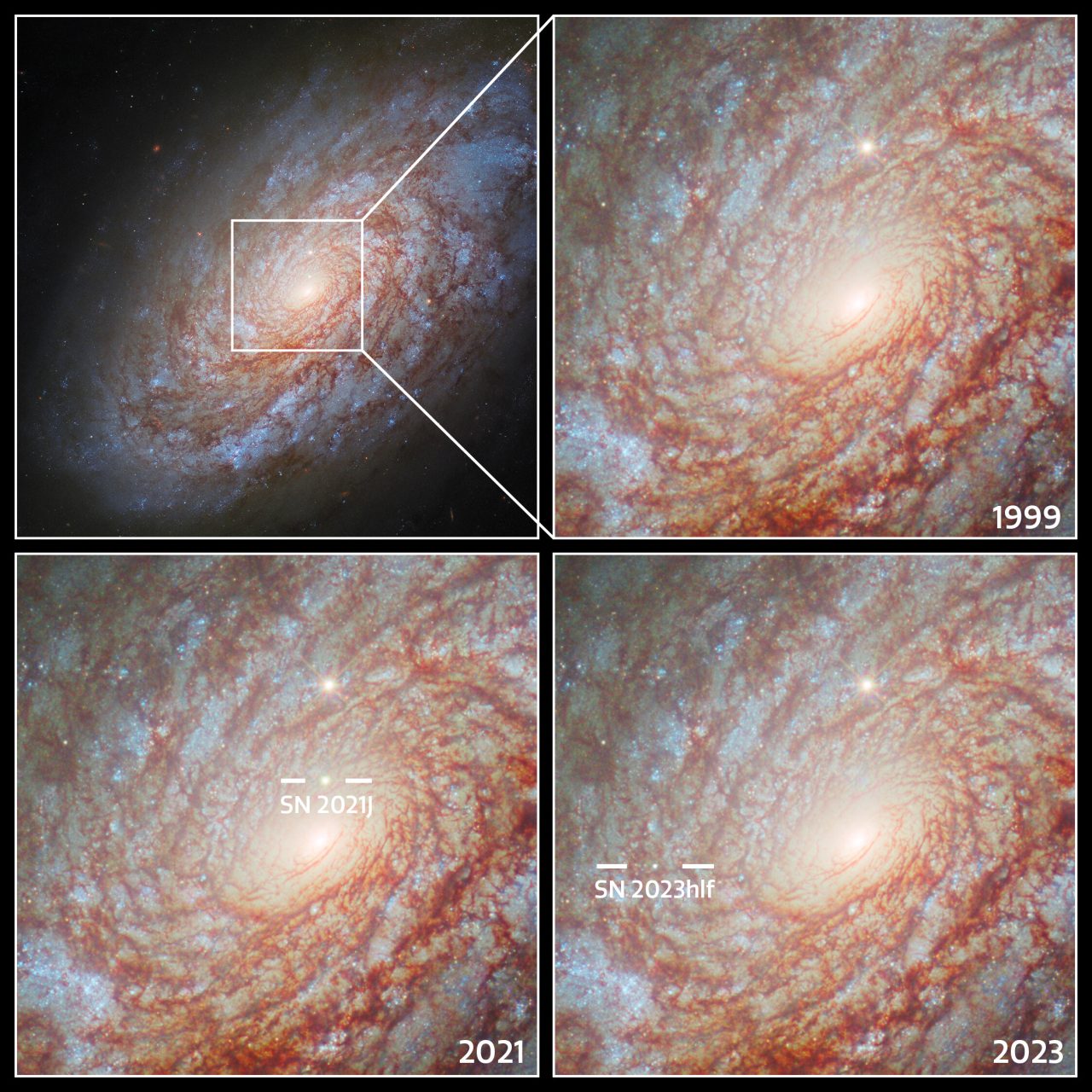 ハッブル宇宙望遠鏡（HST）の広視野カメラ3（WFC3）で撮影された渦巻銀河「NGC 4414」（左上）と、1999年（右上）、2021年（左下）、2023年（右下）に撮影された中心部分の拡大図。2021年と2023年には超新星が捉えられている