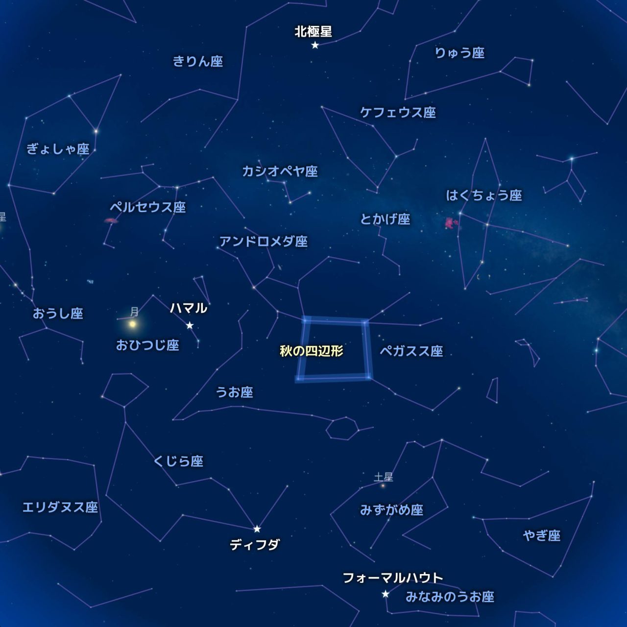 「秋の四辺形」から探す様々な星。図は2024年11月中旬 20時頃の東京の星空。