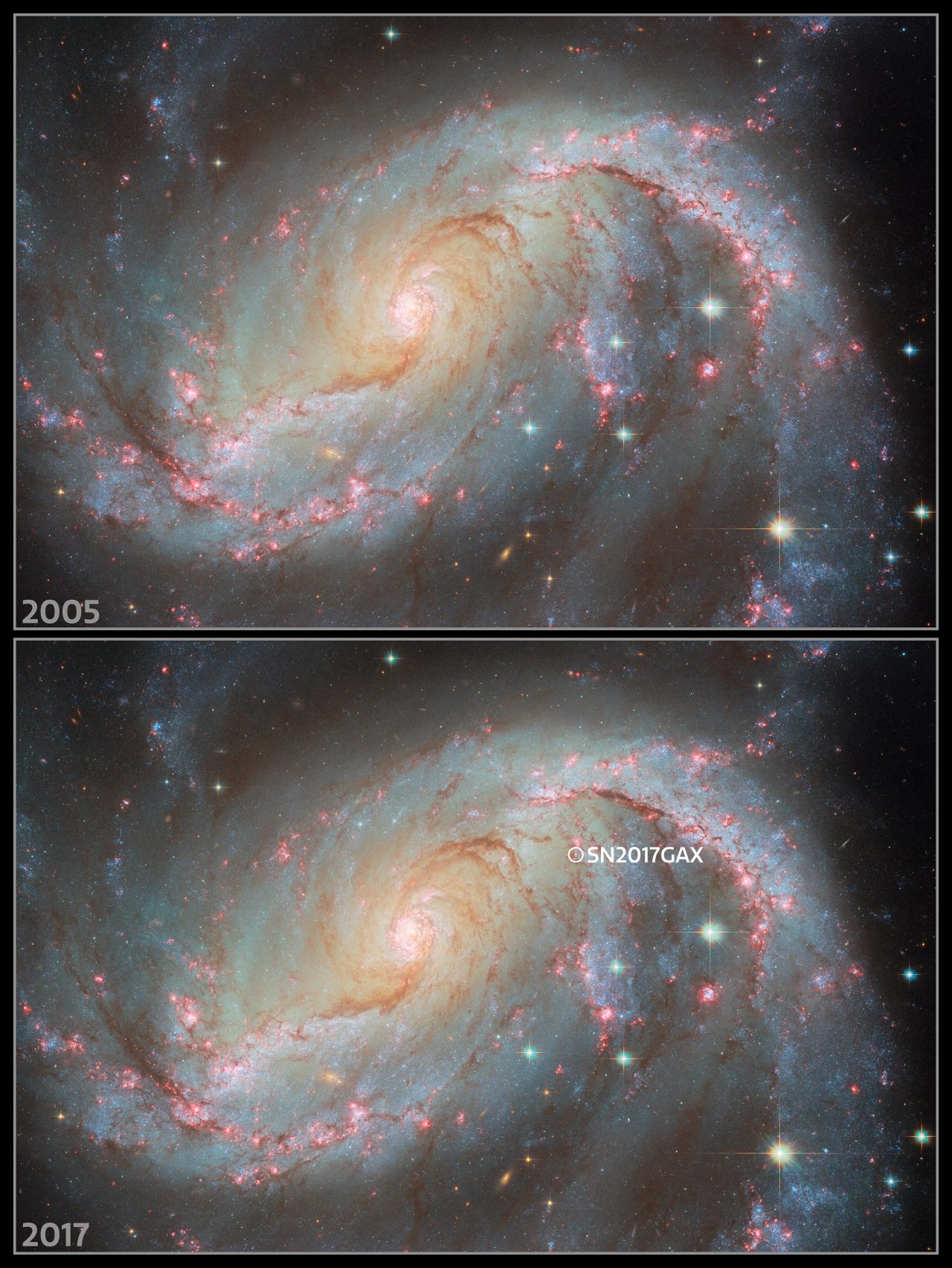 棒渦巻銀河「NGC 1672」で2017年に発見された超新星「SN 2017gax」の発生前（上）と発生後（下）の様子を比較した図。超新星の位置は下の画像に丸印で囲んで示されている