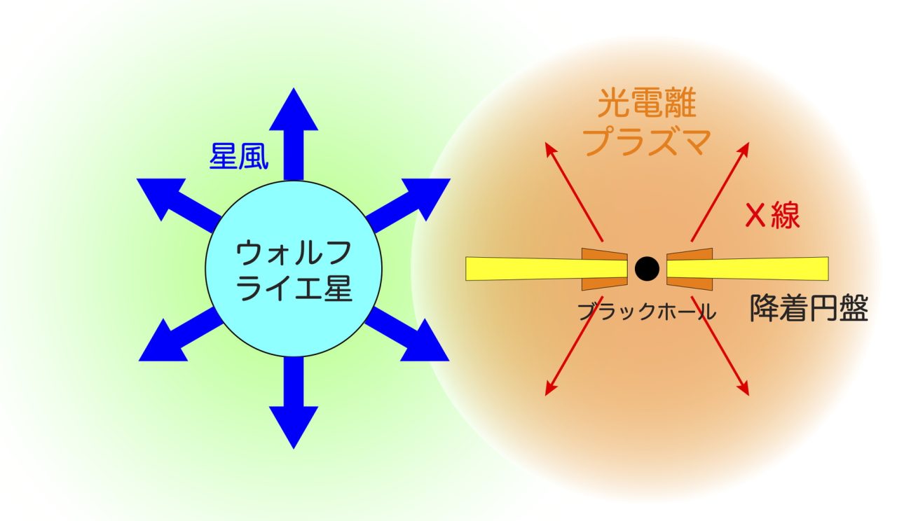 図4: はくちょう座X-3で光電離プラズマが生成される仕組みの概略。ウォルフ・ライエ星から放出されたガス（星風）の中を進むブラックホールは、重力で周りのガスを引き寄せます（降着円盤の形成）。ブラックホールの近辺では狭い場所にガスが押し込められるため、摩擦でX線が放出されます。このX線が周りのガスを構成する原子から電子をはぎ取ります。このようにして生じるのが光電離プラズマです。（Credit: JAXA）