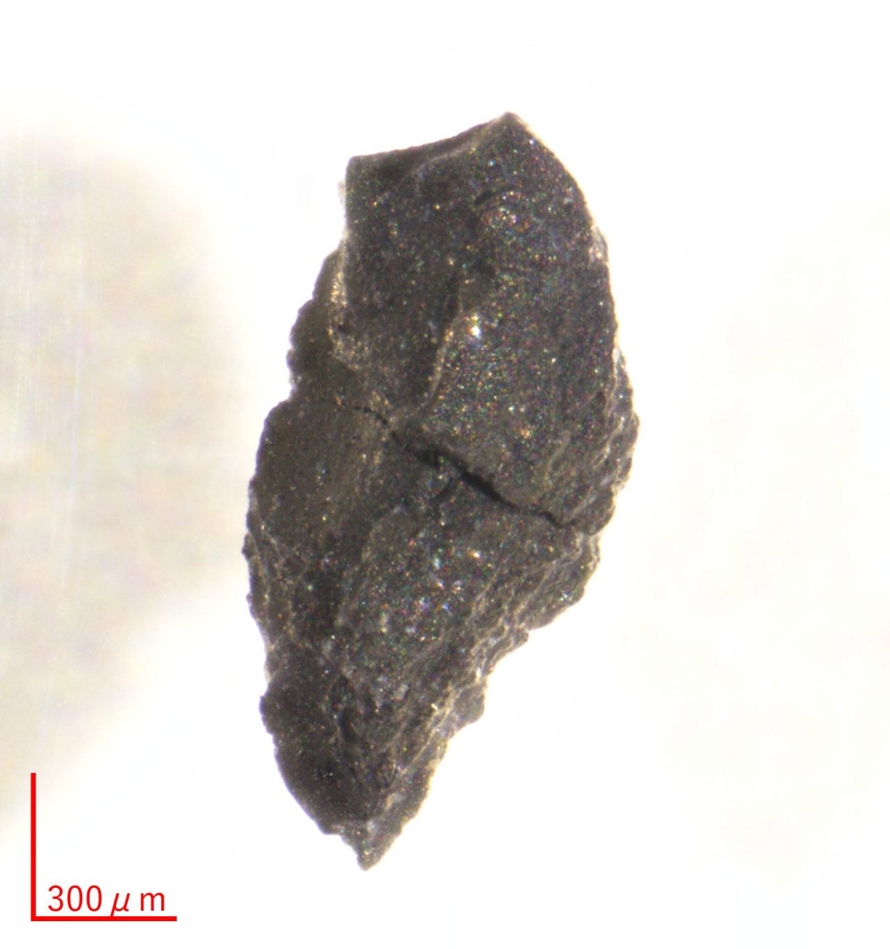 図1: 今回分析されたリュウグウのサンプル（サンプル番号A0180）。（Credit: JAXA）