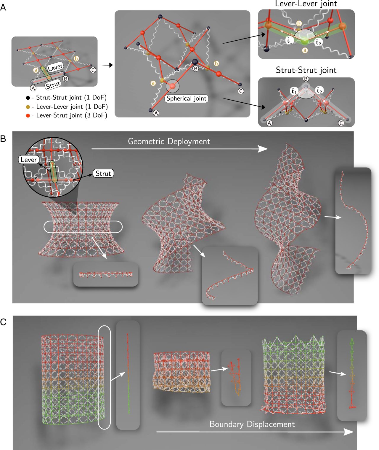 トティモルフィック構造を持つ格子が変形する様子を示した図（Credit: G. Chaudhary, S. G. Prasath, et al.）