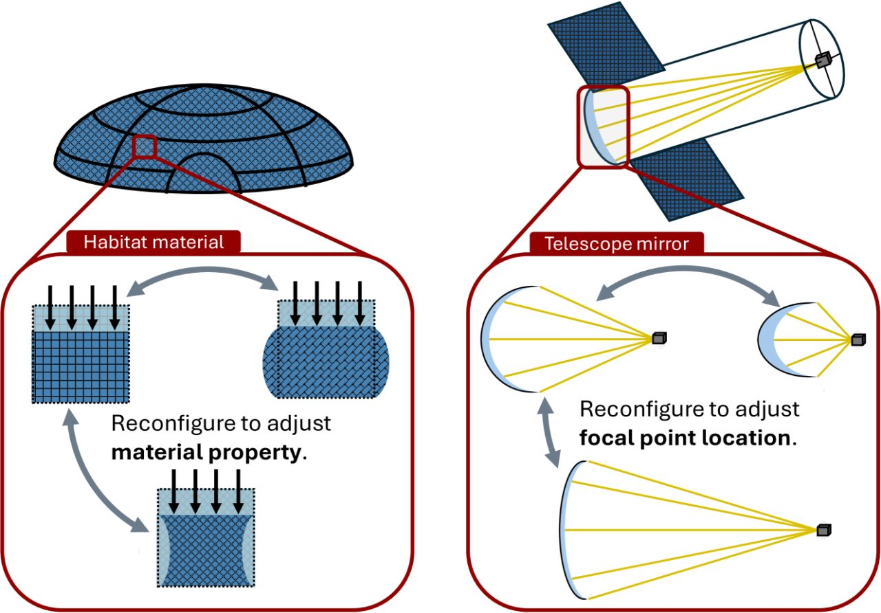 トティモルフィック構造を持つ人工物質で作られた宇宙居住施設（左）と宇宙望遠鏡の鏡（右）の概念図。主鏡の形を変えることで、焦点距離を変えられるという。（Credit: D. Dold, A. Thomas, et al.）