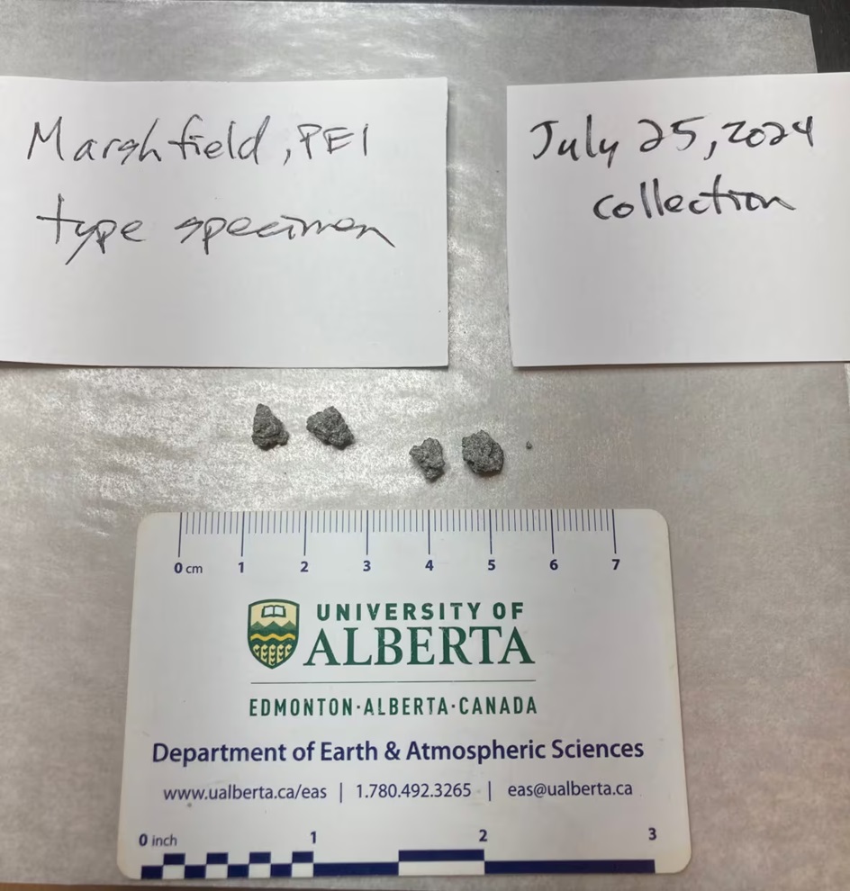 図3: 落下直後に回収されたシャーロットタウン隕石の破片。（Credit: University of Alberta Meteorite Collection）