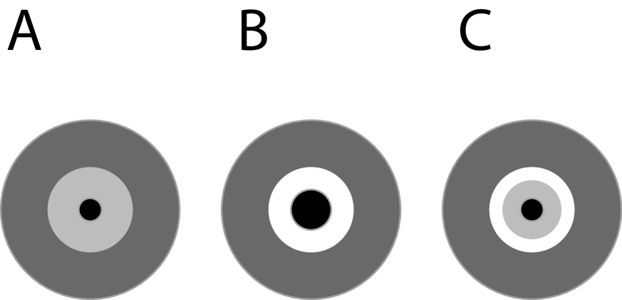 図2: （A）中心部に原始ブラックホールが存在する、液体の核を持つ岩石天体。（B）そのような天体は、中心部の液体物質が吸い込まれる一方、表面付近の固体物質は殻状構造を維持するため、中空の天体が生じます。（C）液体が途中で冷え固まった場合、中心核と外側の間に中空構造が生じる可能性もあります。（Credit: De-Chang Dai & Dejan Stojkovic）