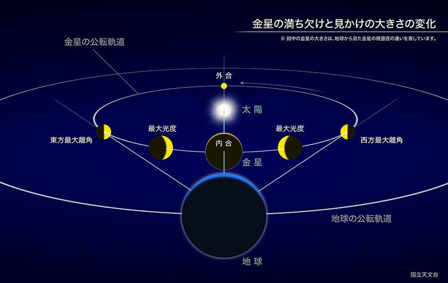 金星の満ち欠けと見かけの大きさの変化（Credit: 国立天文台）