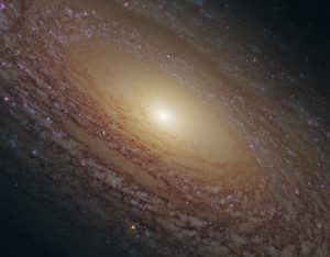 毛糸で編み上げたような渦巻銀河　ハッブル宇宙望遠鏡が観測した「NGC 2841」