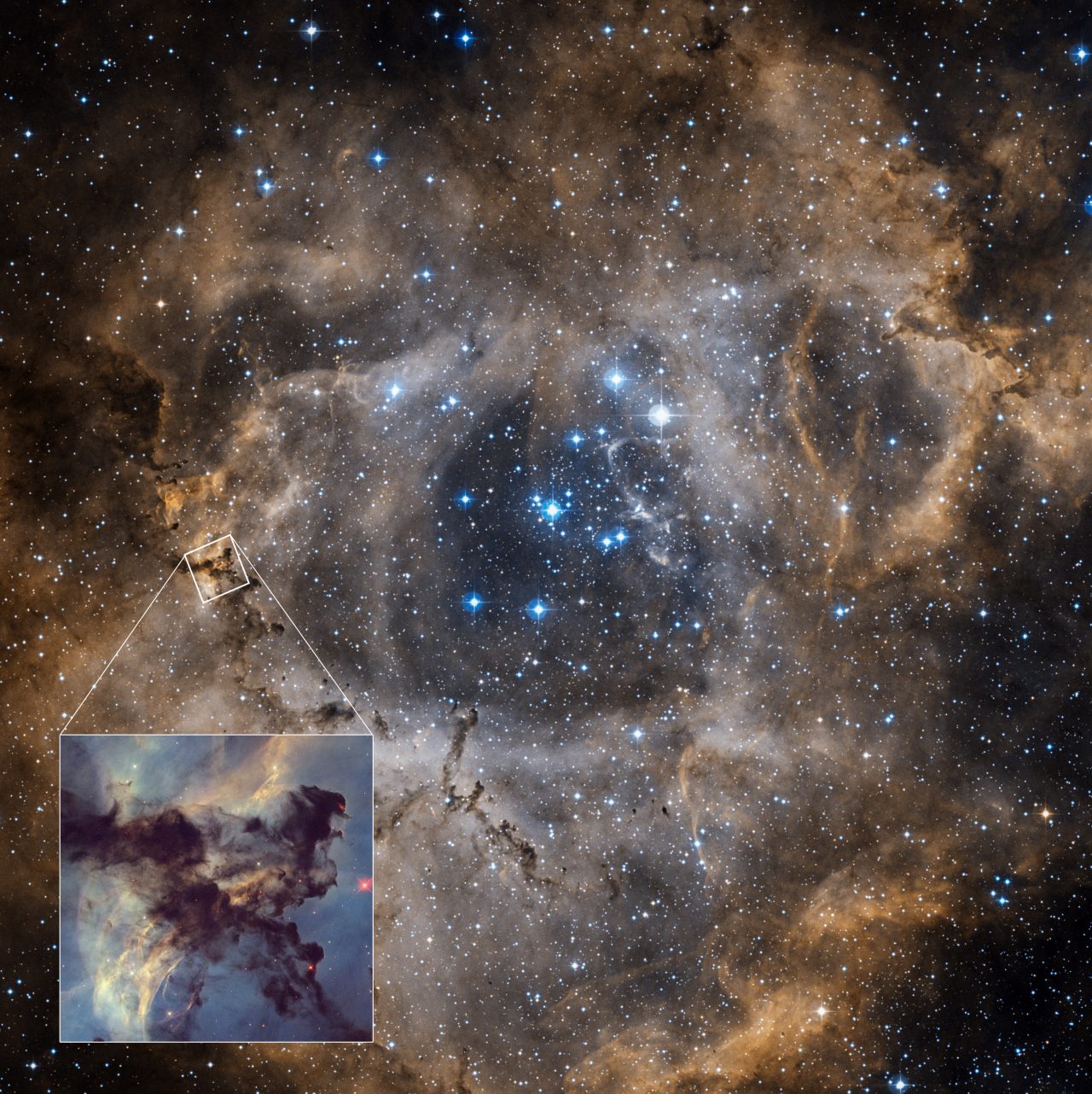 ばら星雲の全体像(背景)を使ってハッブル宇宙望遠鏡(HST)が観測した範囲(画像左側の白い四角形)を示した図(Credit: Image: NASA, ESA, STScI; Image Processing: Joseph DePasquale (STScI))