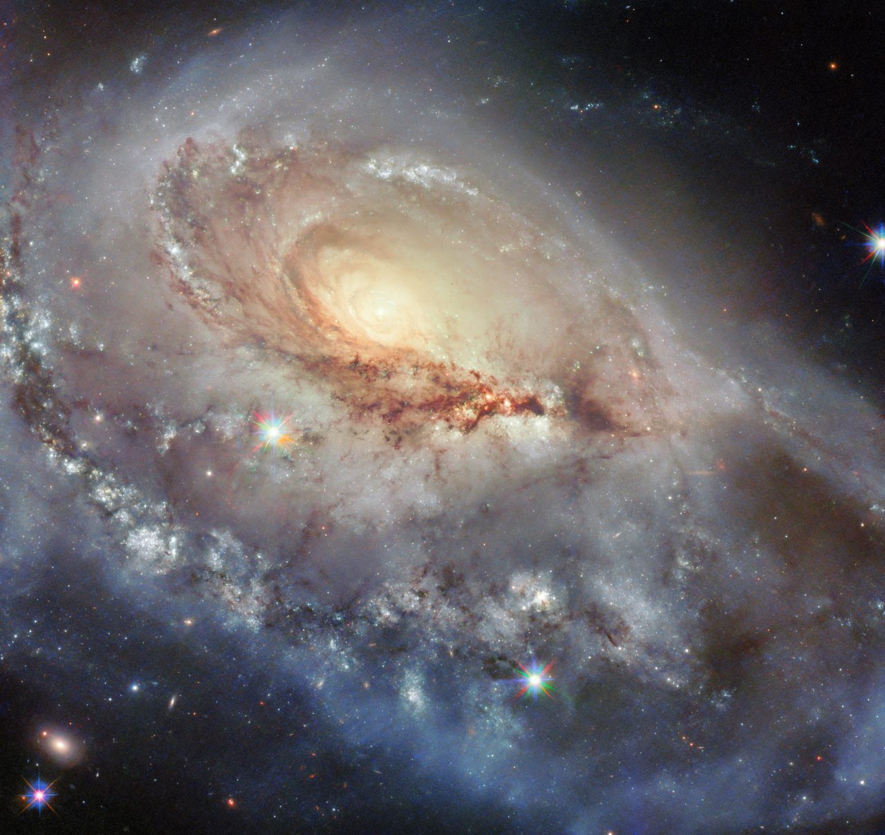 乱れ広がる渦巻腕　渦巻銀河「NGC 1961」【今日の宇宙画像】