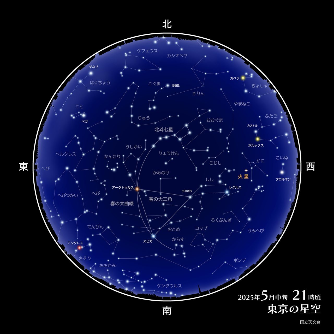 かなしみ流星群 bme6fzu その他