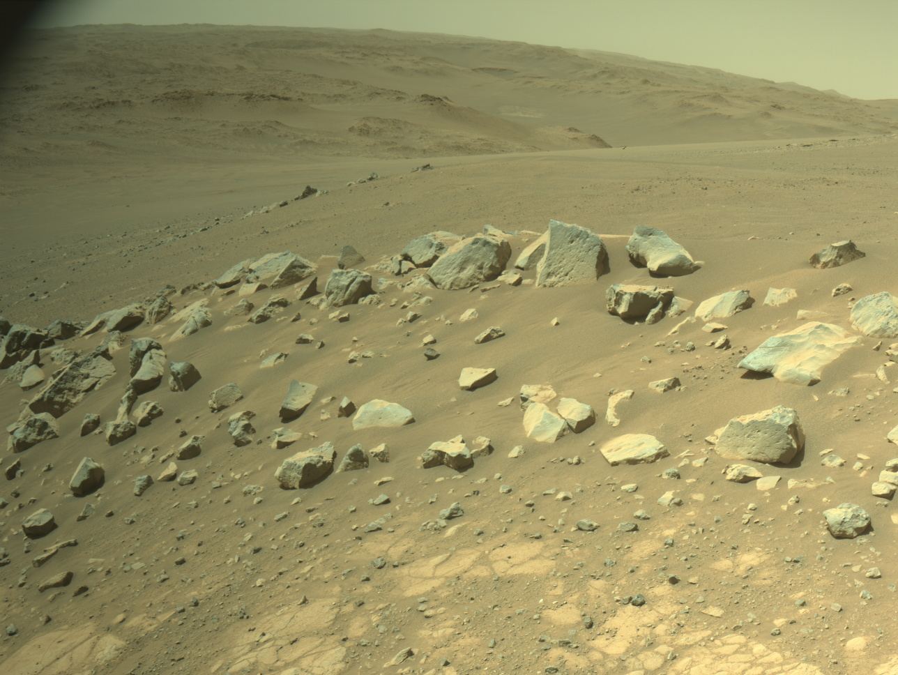 2025年5月13日の火星の風景：砂丘に散らばる角ばった岩【今日の宇宙画像】