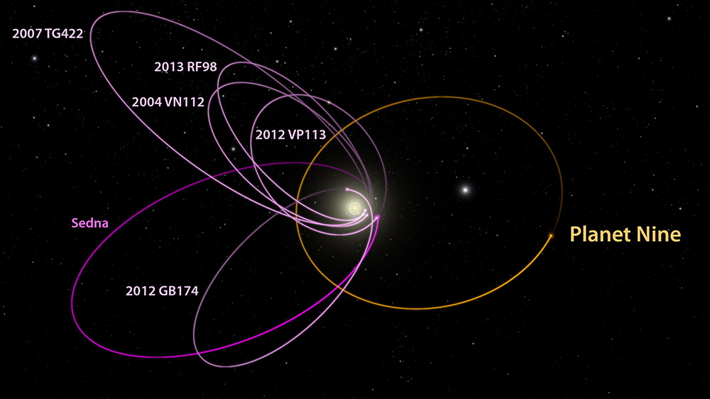 図2: 紫色で示されている太陽系外縁天体の公転軌道は偏った分布をしていることが知られています。この偏りを説明するものとして提案されたのが、黄色で示されているプラネット・ナインの公転軌道です。